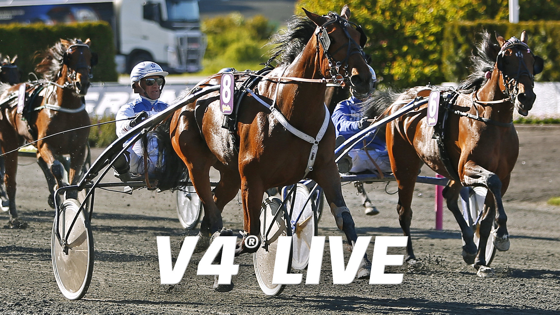 V4 Live: Galopp, Övrevoll. Trav, Enghien och Vermo.