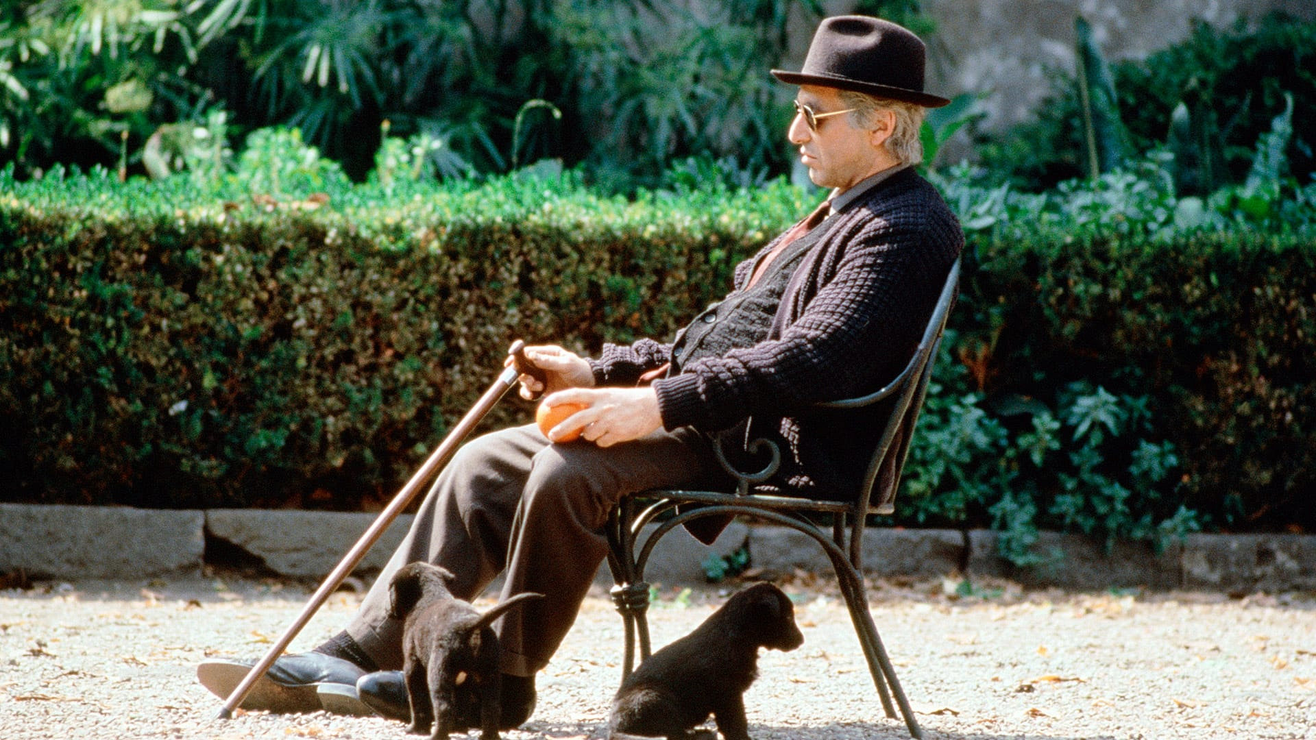Godfather, Coda The: The Death of Michael Corleone