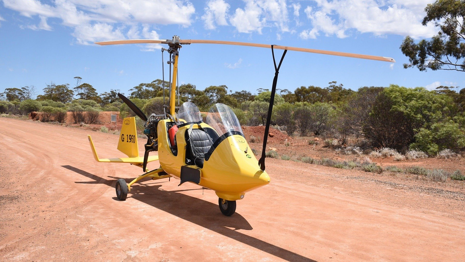 Australske gulljegere