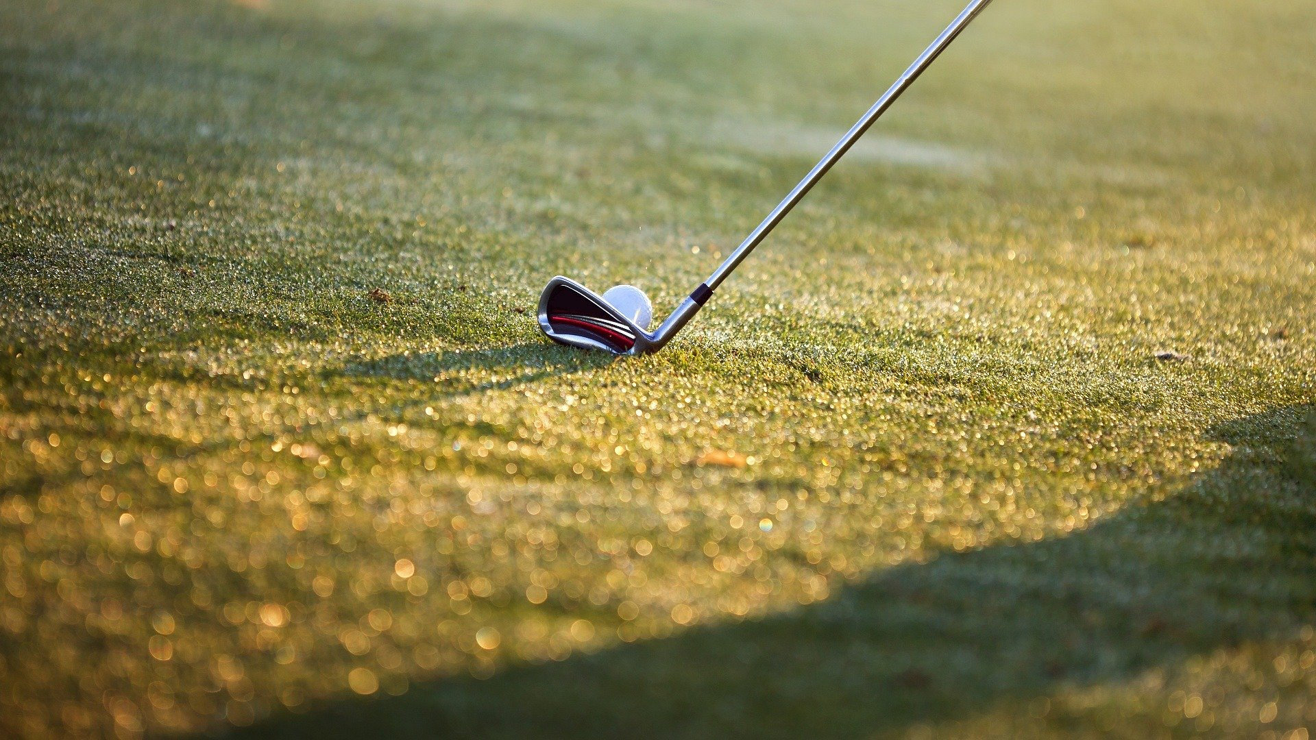 PGA Tour Golf: Rocket Mortgage Classic, Dag 4