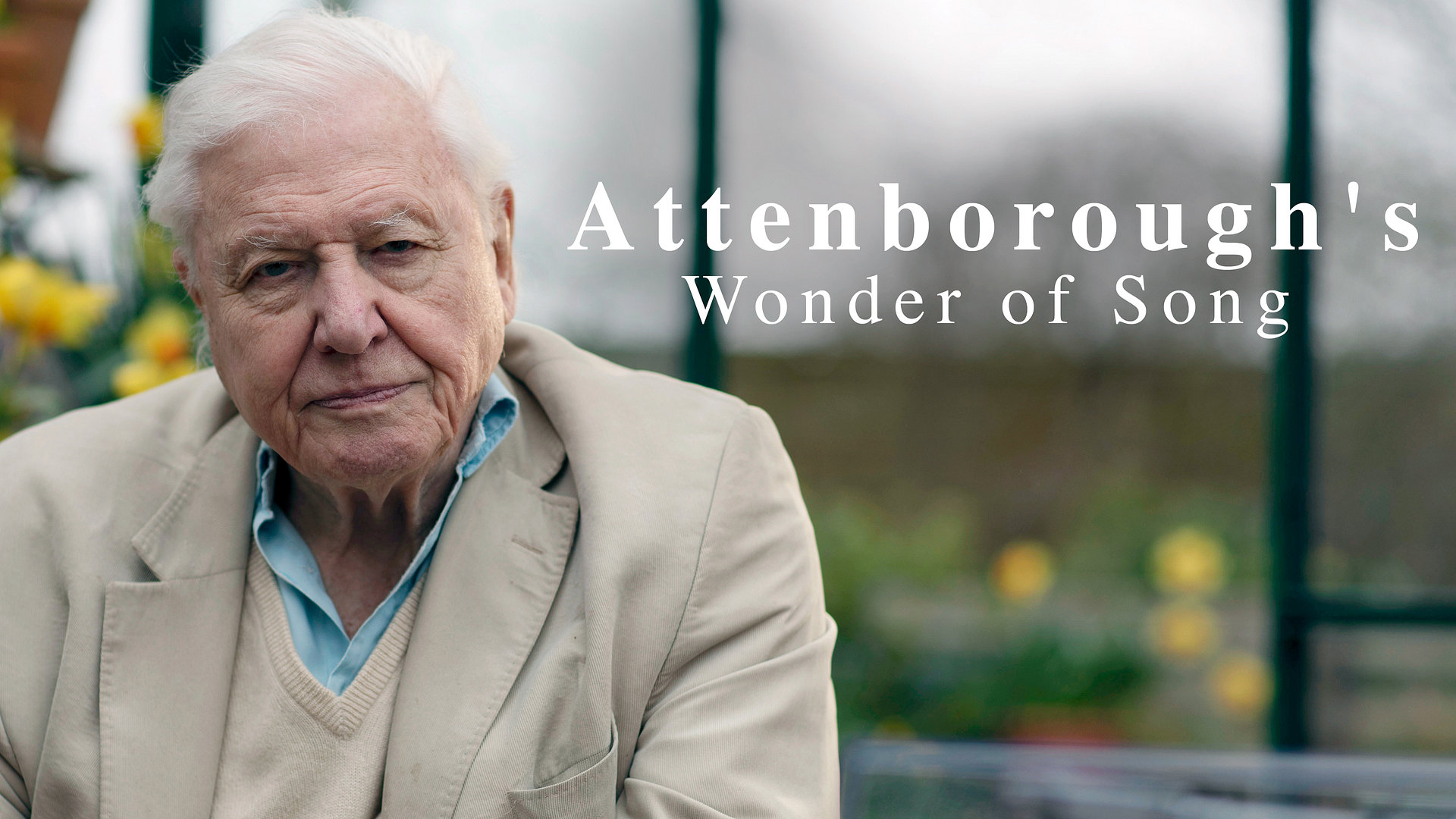 Attenborough's Wonder of Song