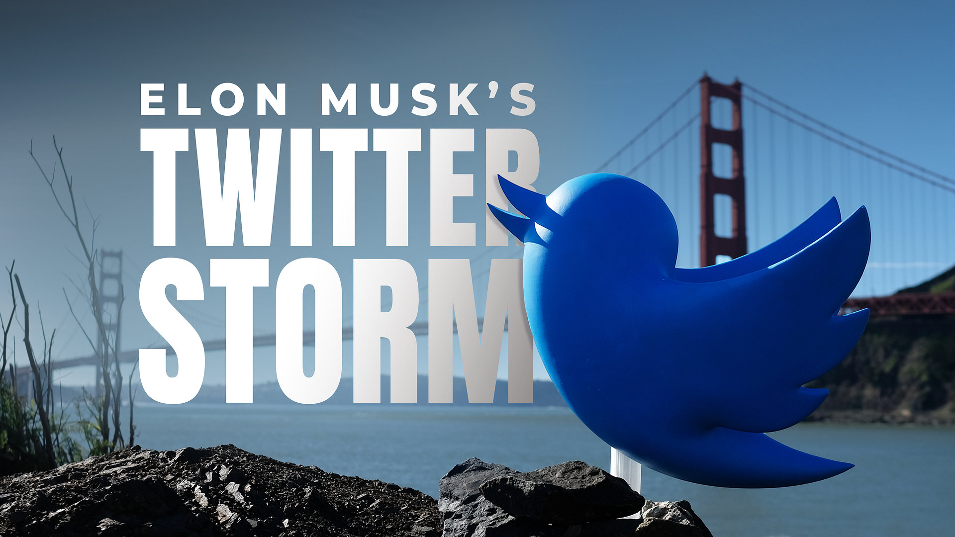Elon Musk's Twitter Storm