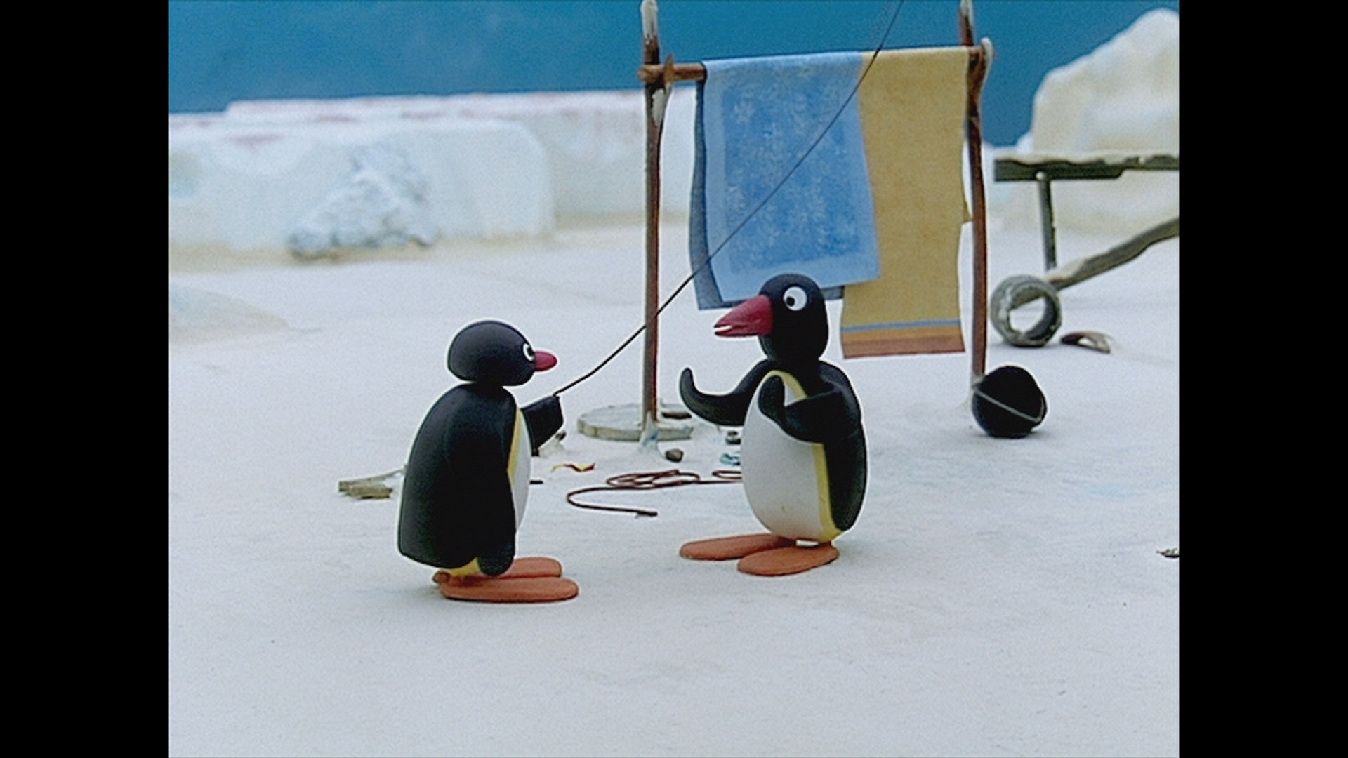 Pingu får en advarsel