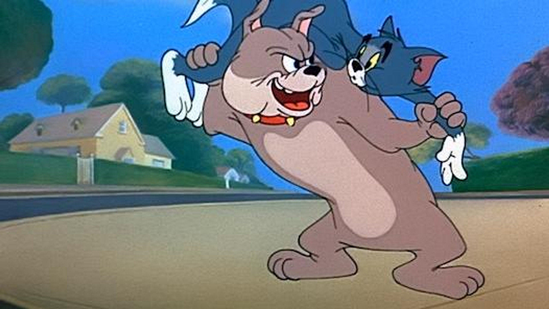Husdyrjakt med Tom & Jerry
