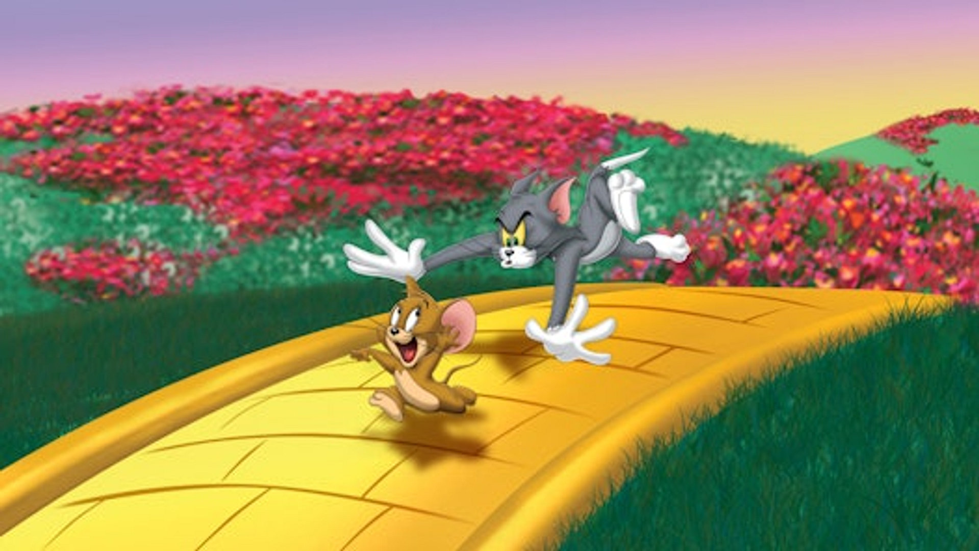 Tom & Jerry Wizard of OZ