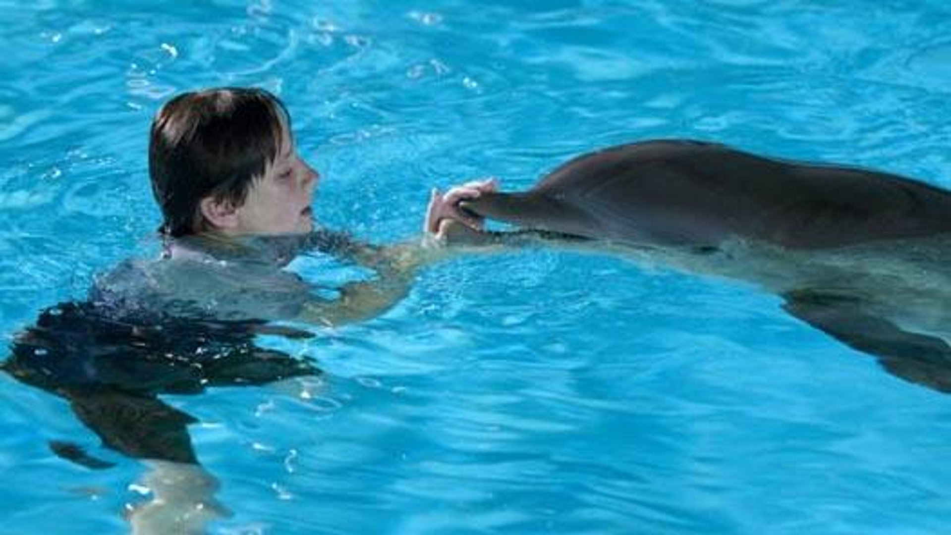 Gutten og delfinen