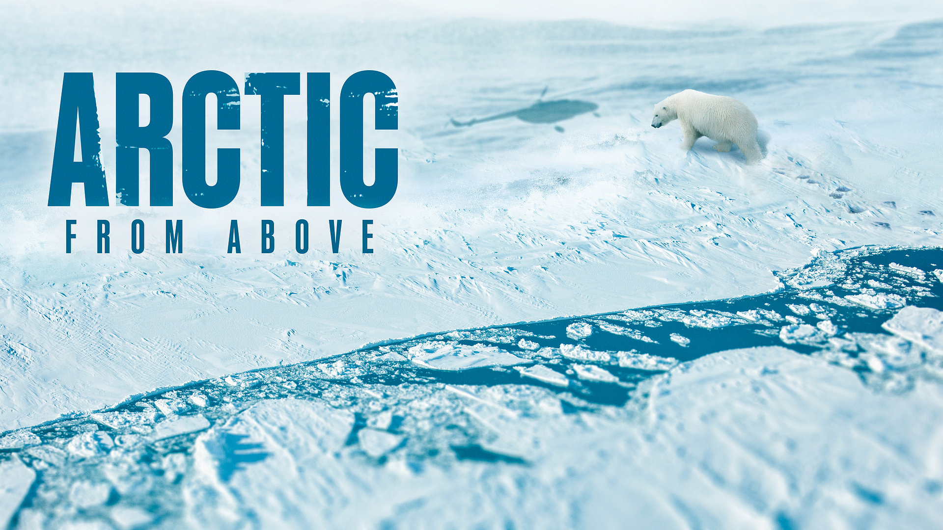 Arctic from Above