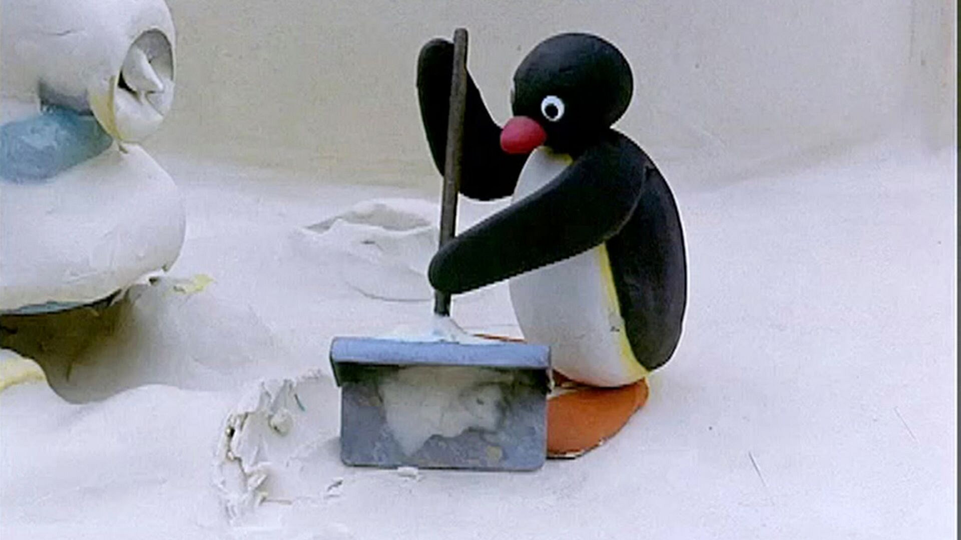 Pingu og snøen