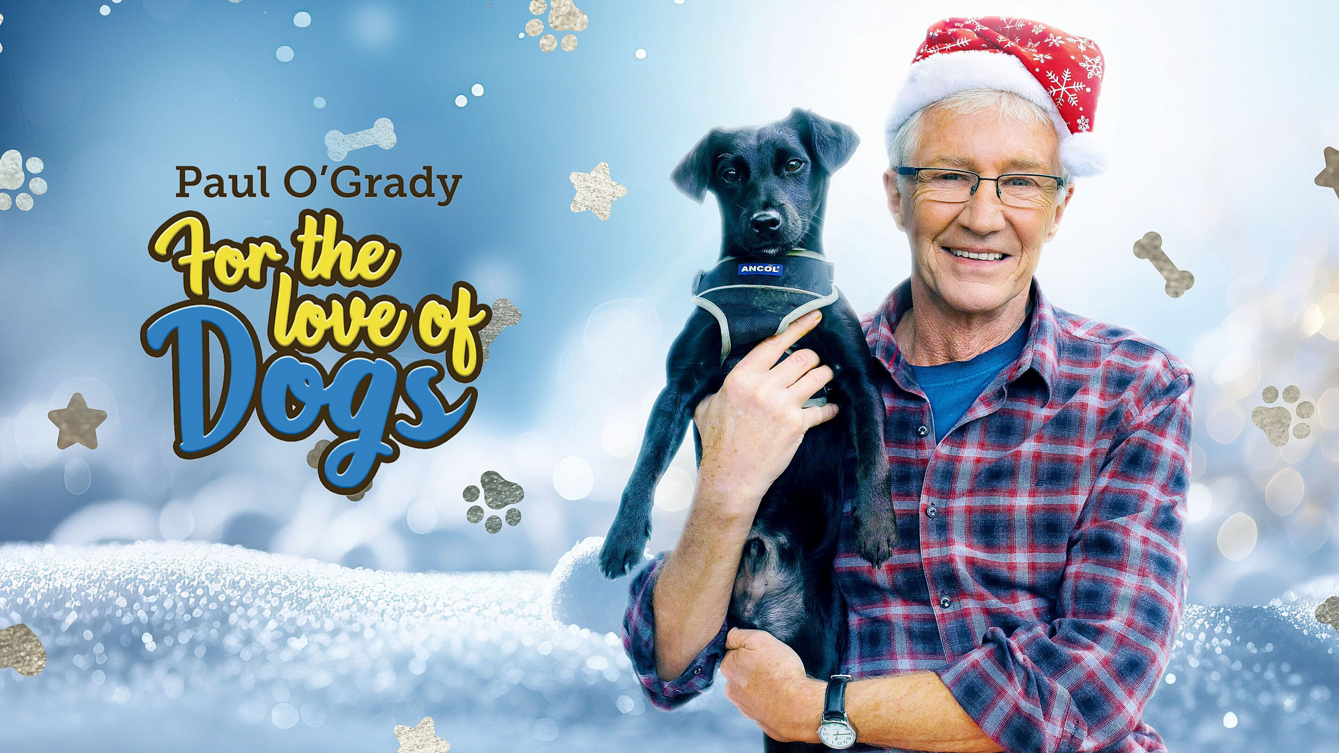 Paul O'Grady For The Love of Dogs At Christmas