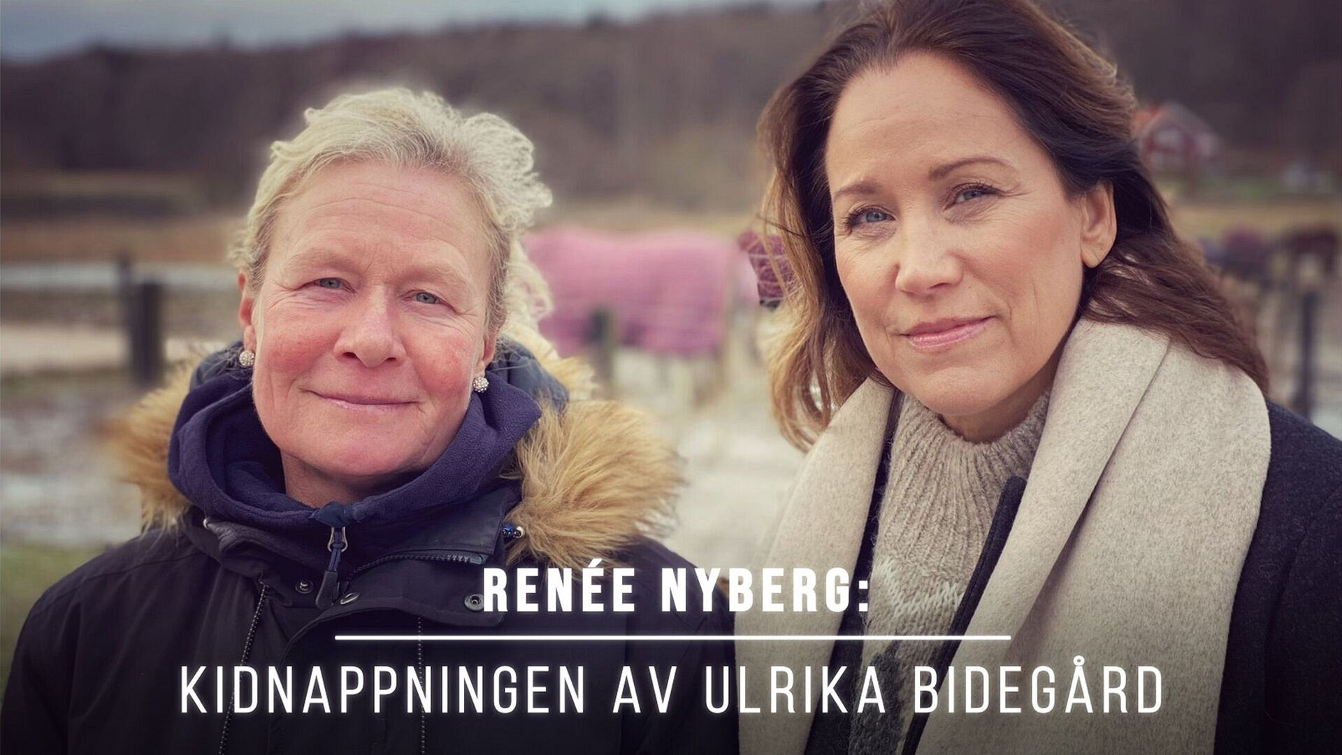 Renée Nyberg: kidnappingen av Ulrika Bidegård