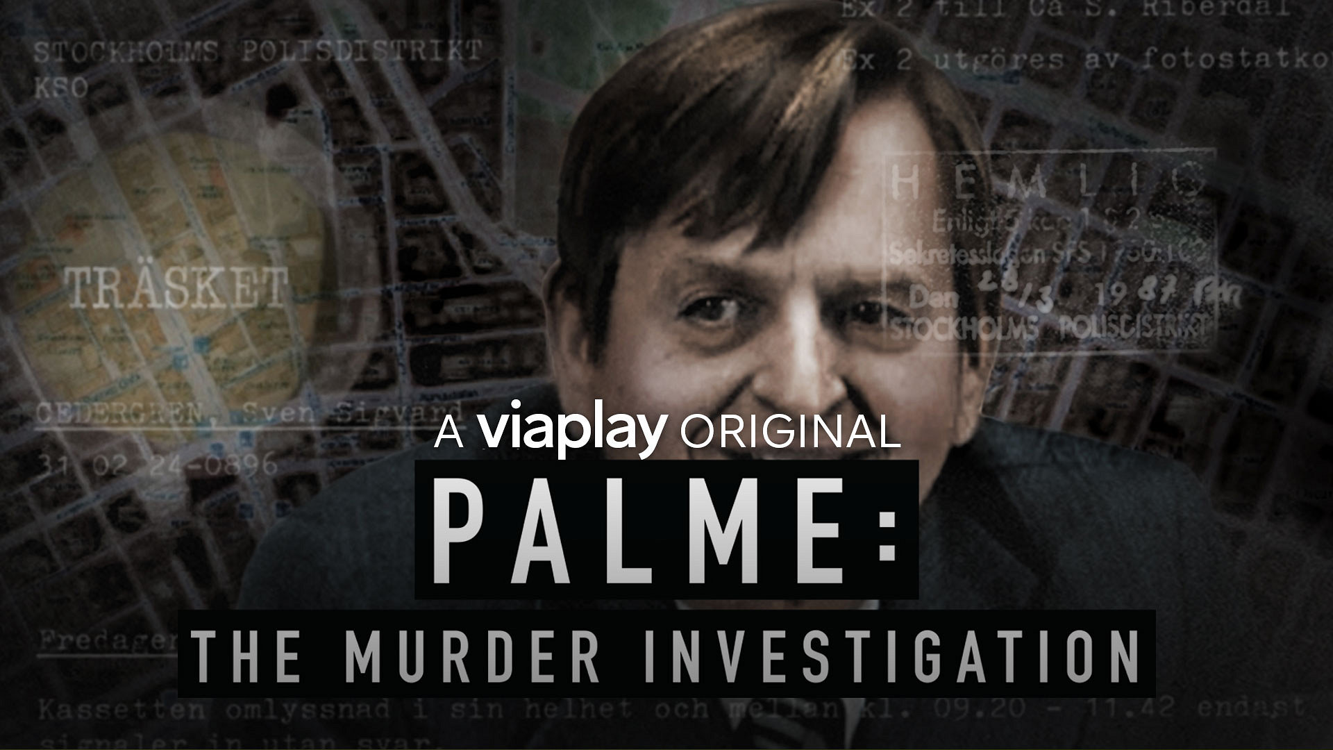 Palme: The Murder Investigation