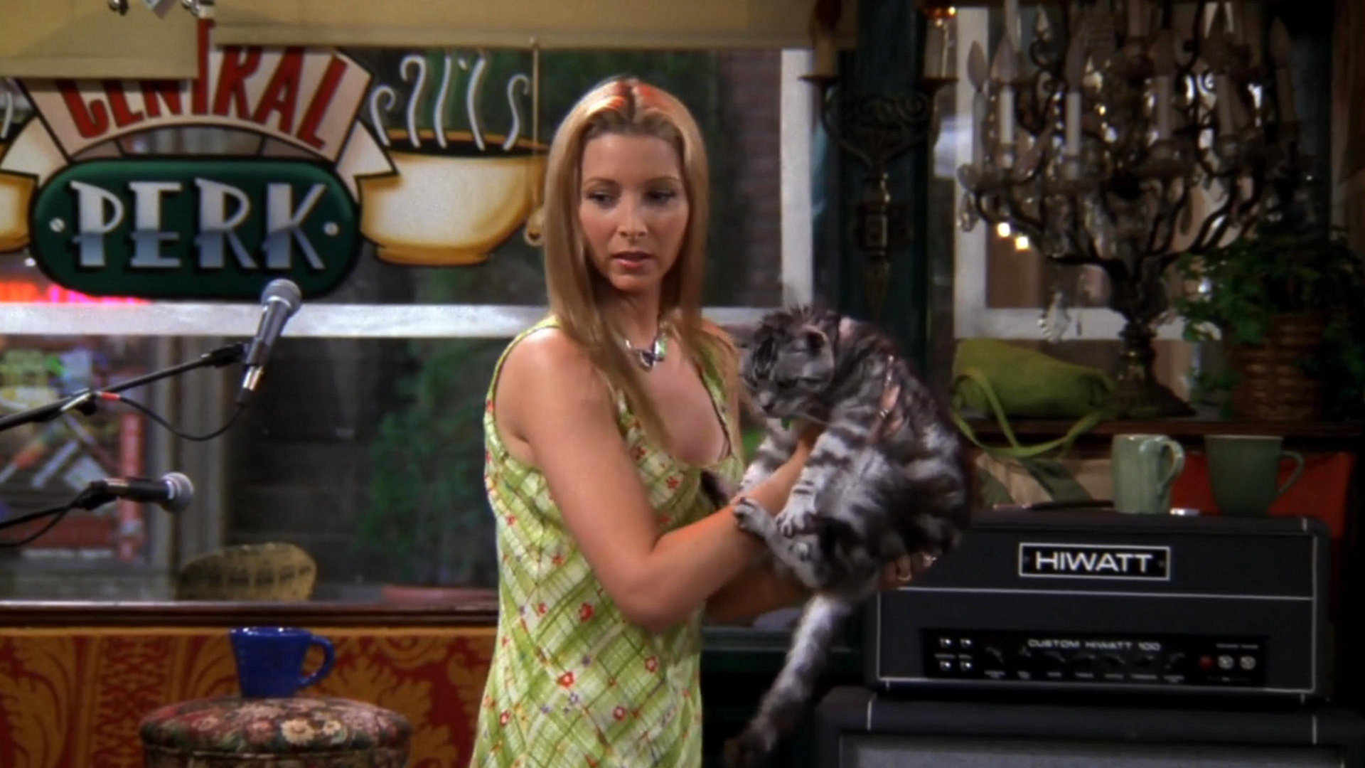 The One with the Cat