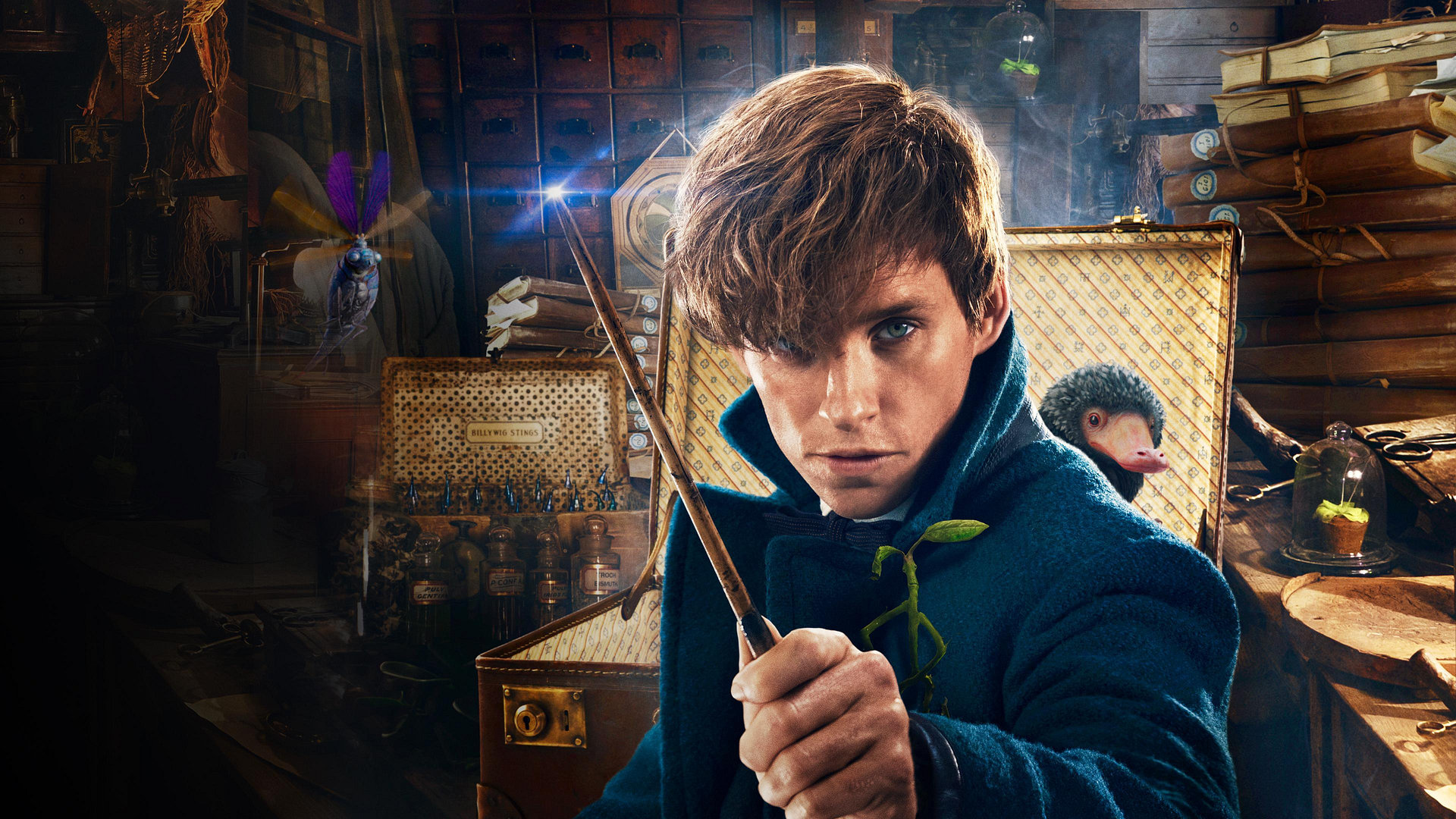 Fantastic Beasts And Where To Find Them