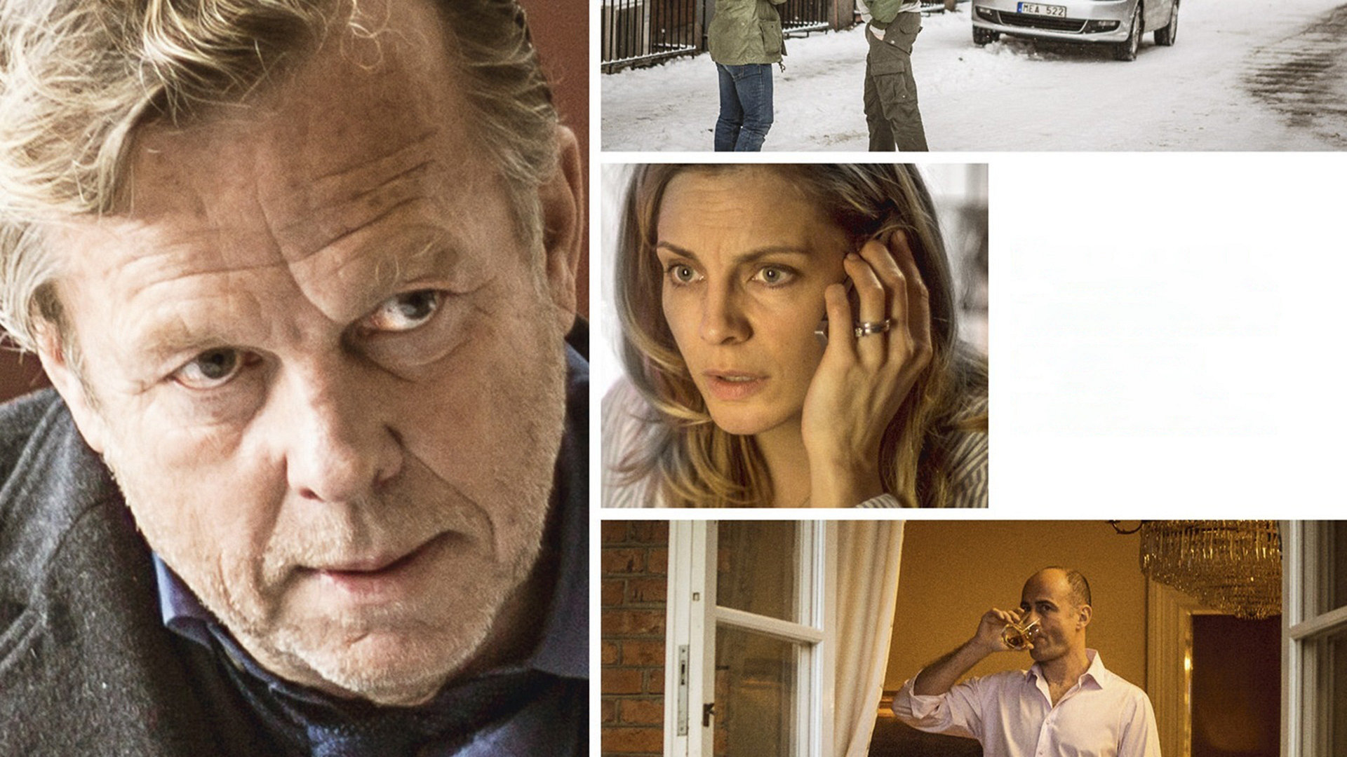 Wallander - Surulintu