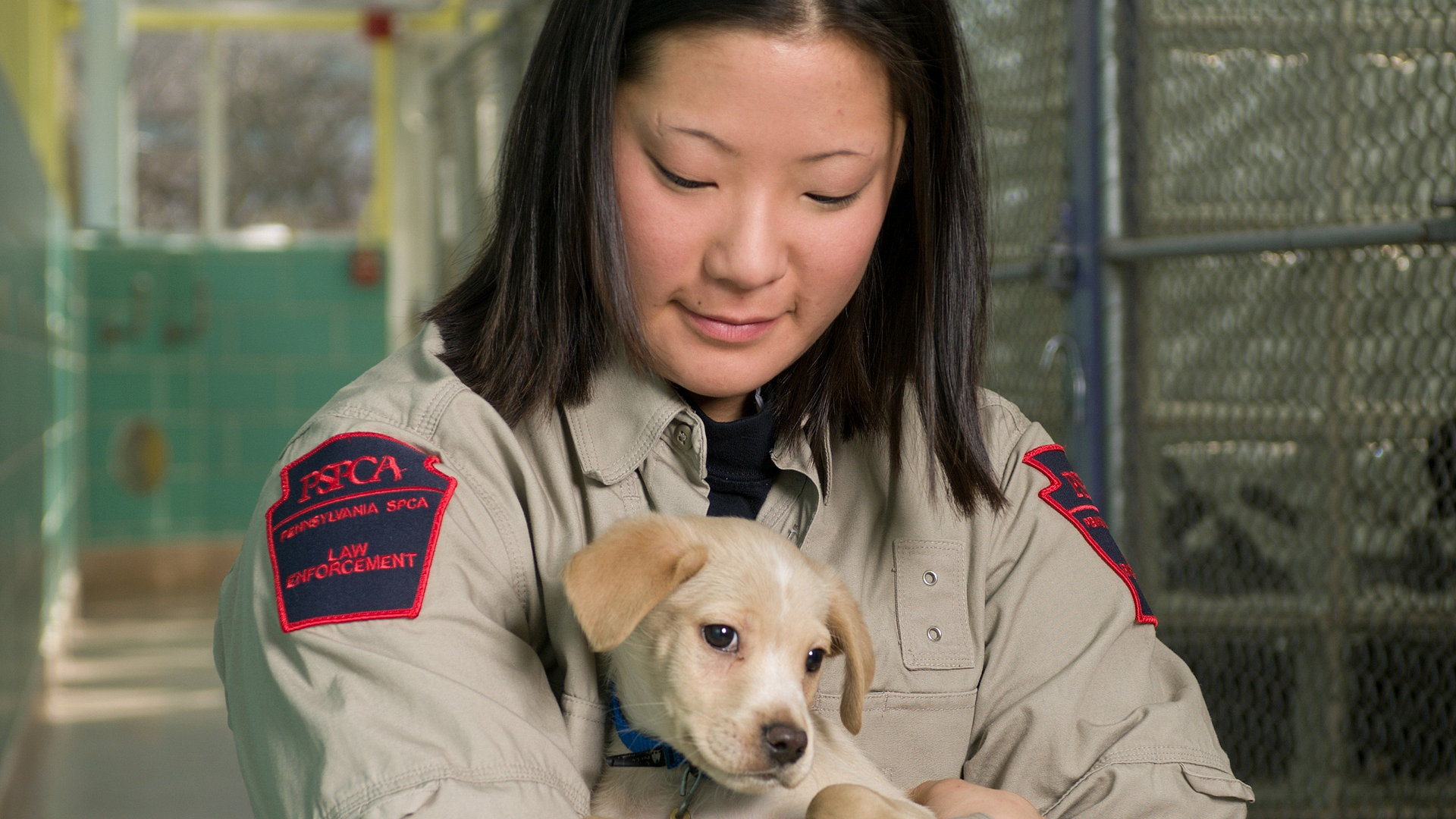 Animal Cops: Philadelphia