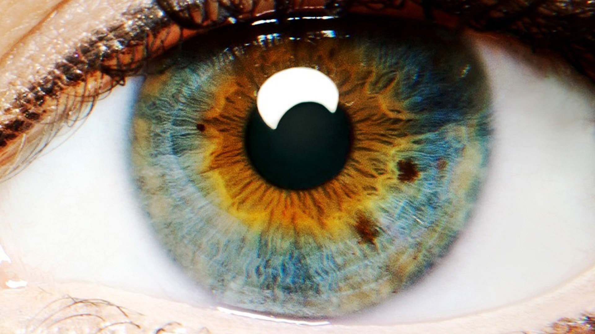 I Origins