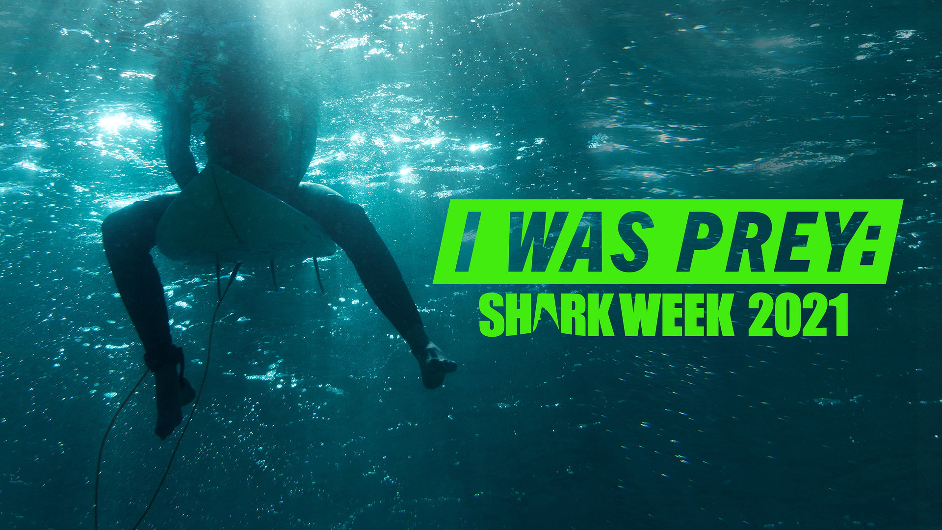 I Was Prey: Shark Week 2021