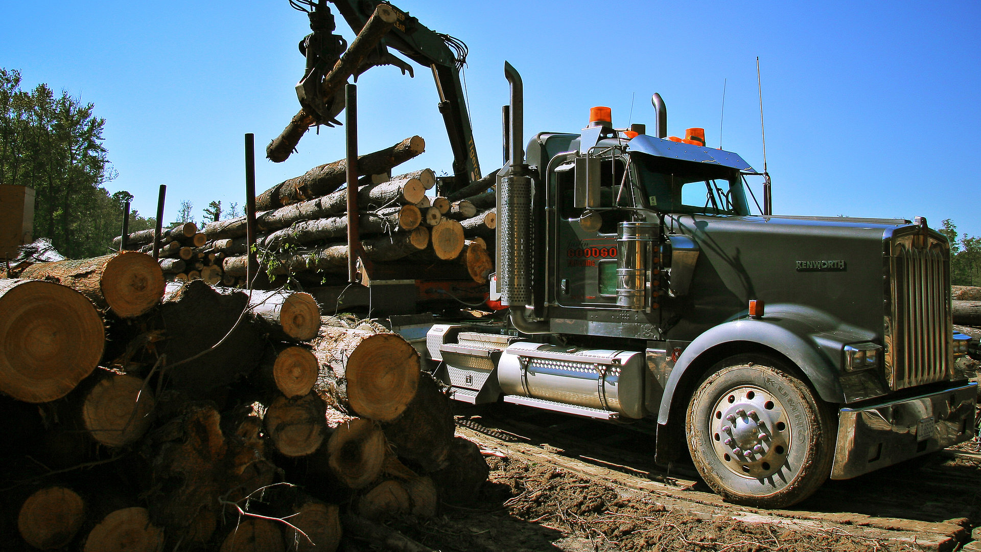 Swamp Loggers