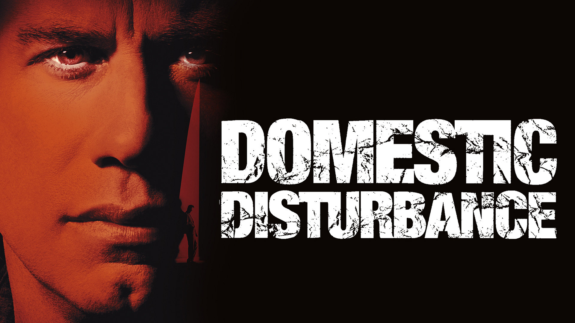 Domestic Disturbance