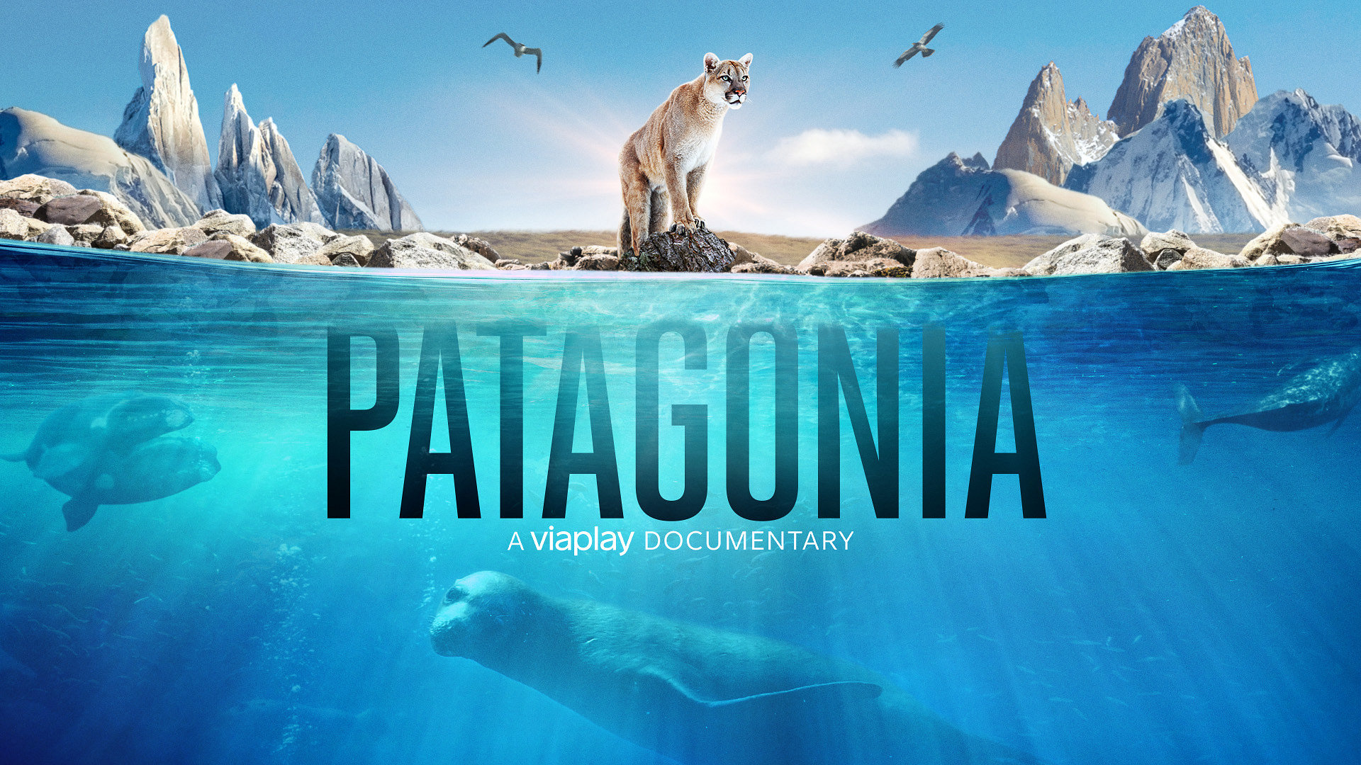 Patagonia: Life on the Edge of the World