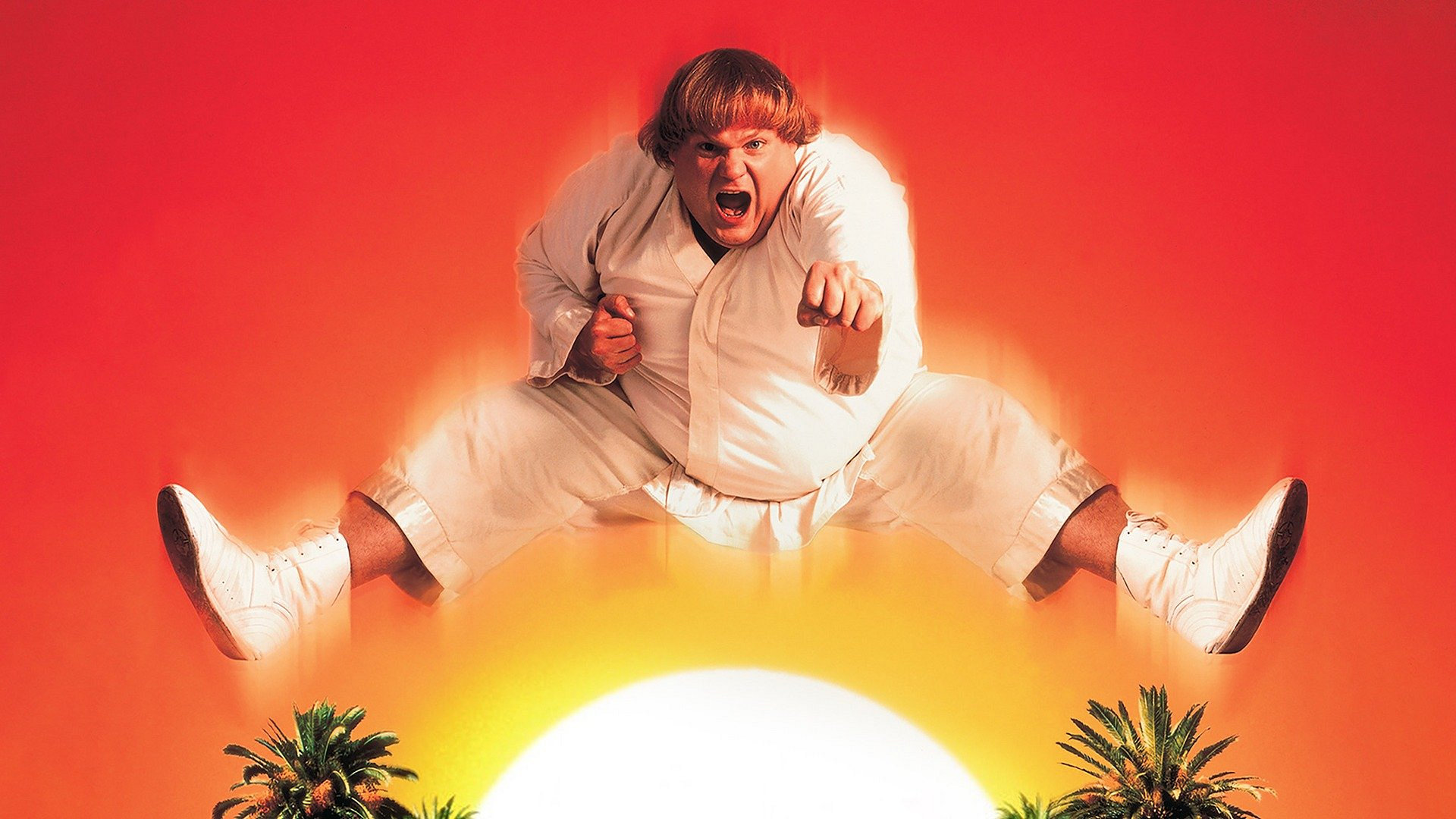 Beverly Hills Ninja