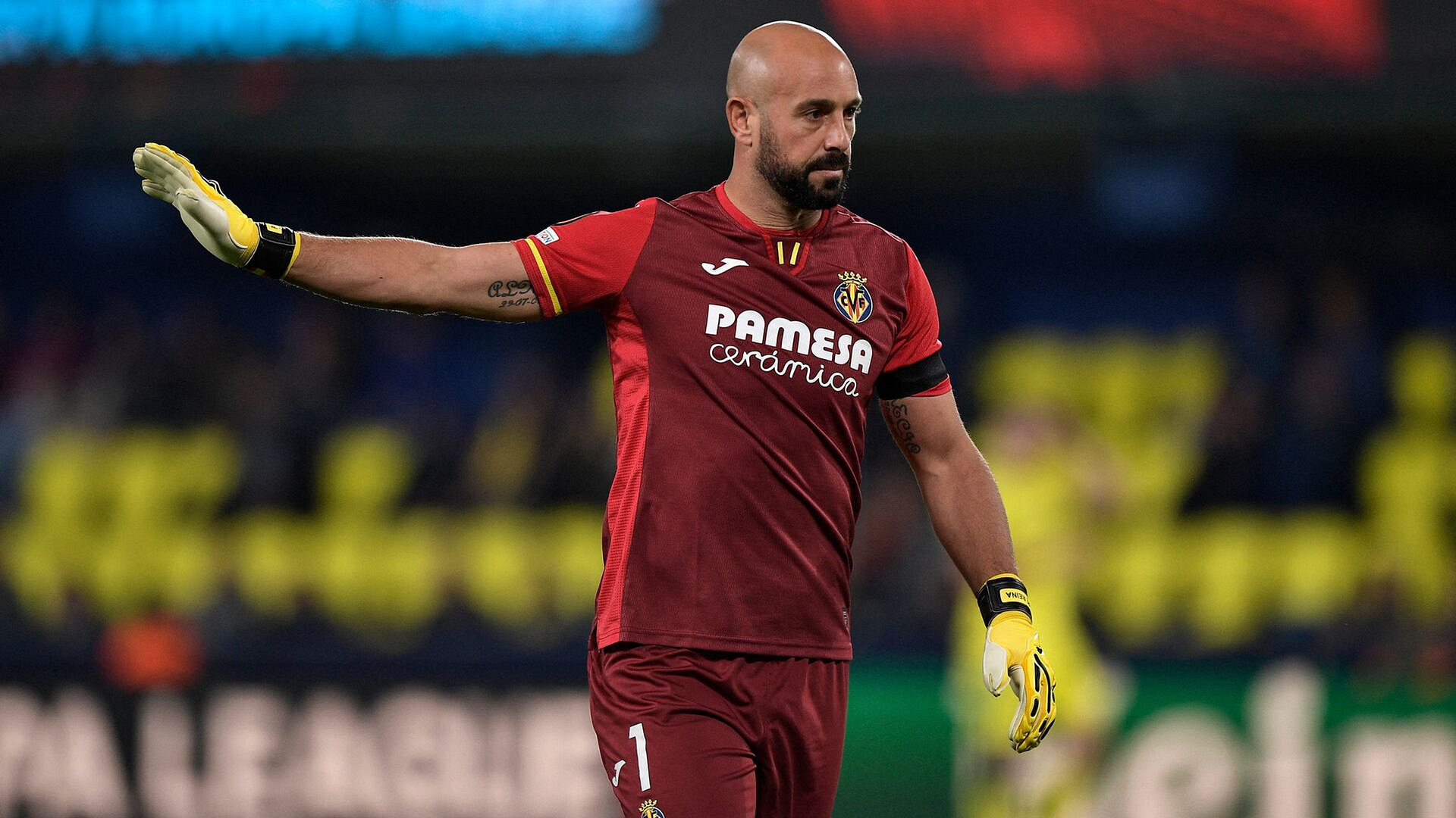 Karrieren til Pepe Reina (41)