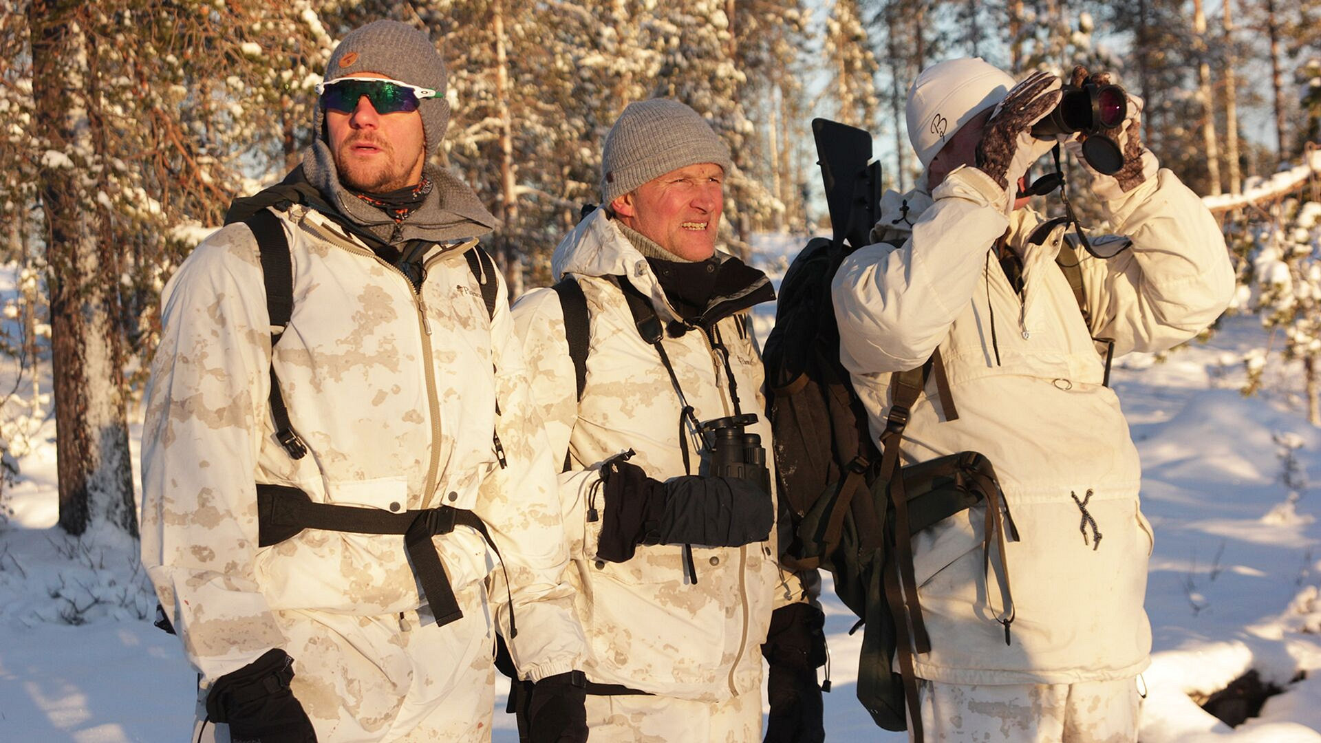 Storfugljakt i Sverige