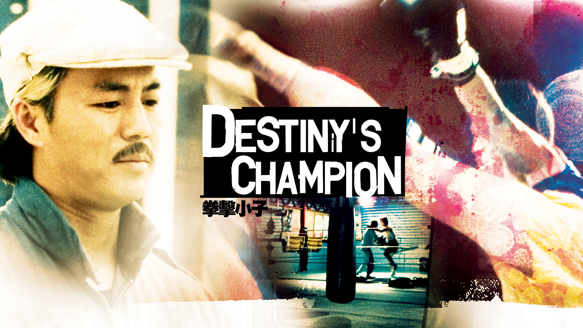 Destiny's Champion