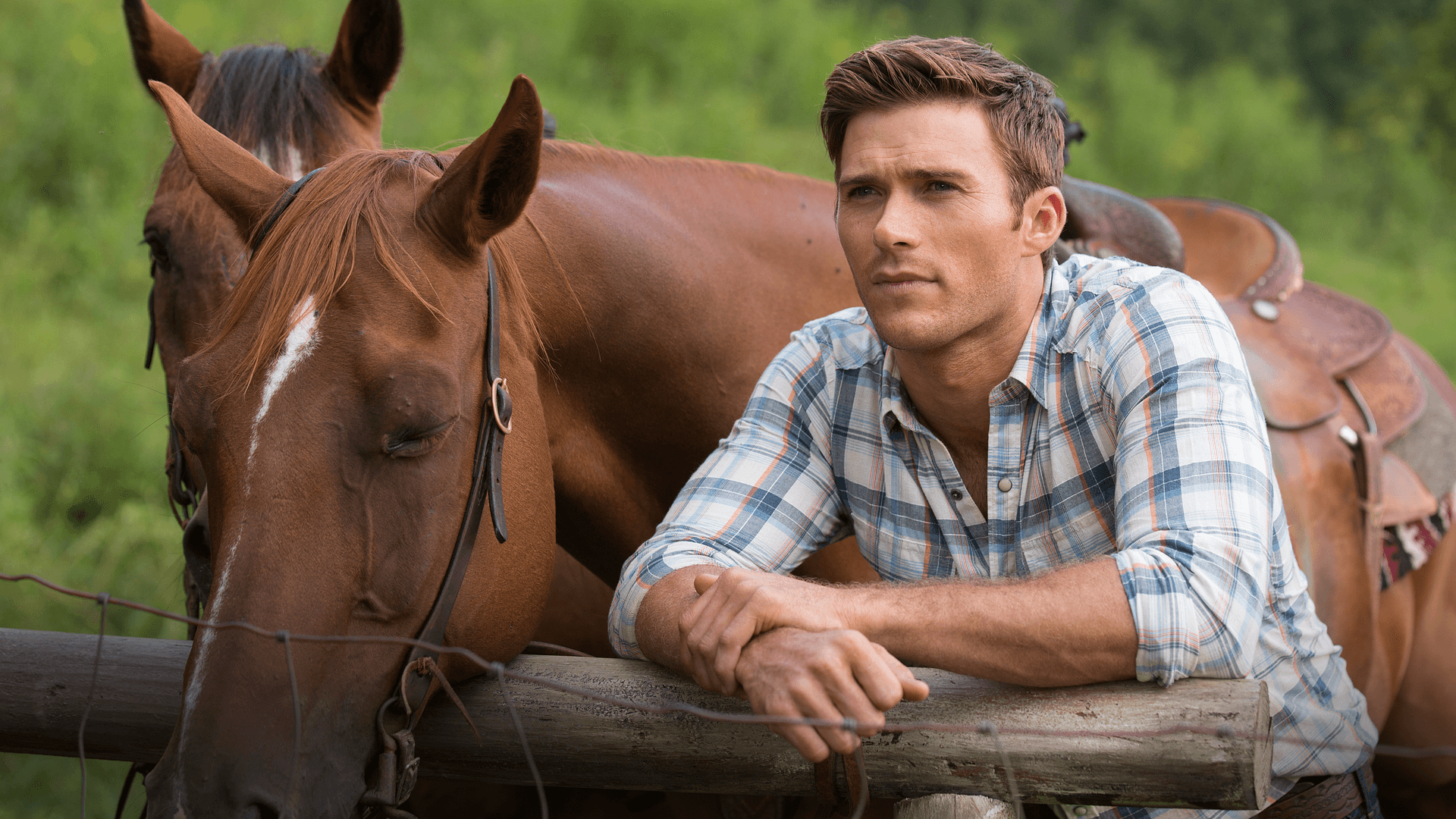 The Longest Ride