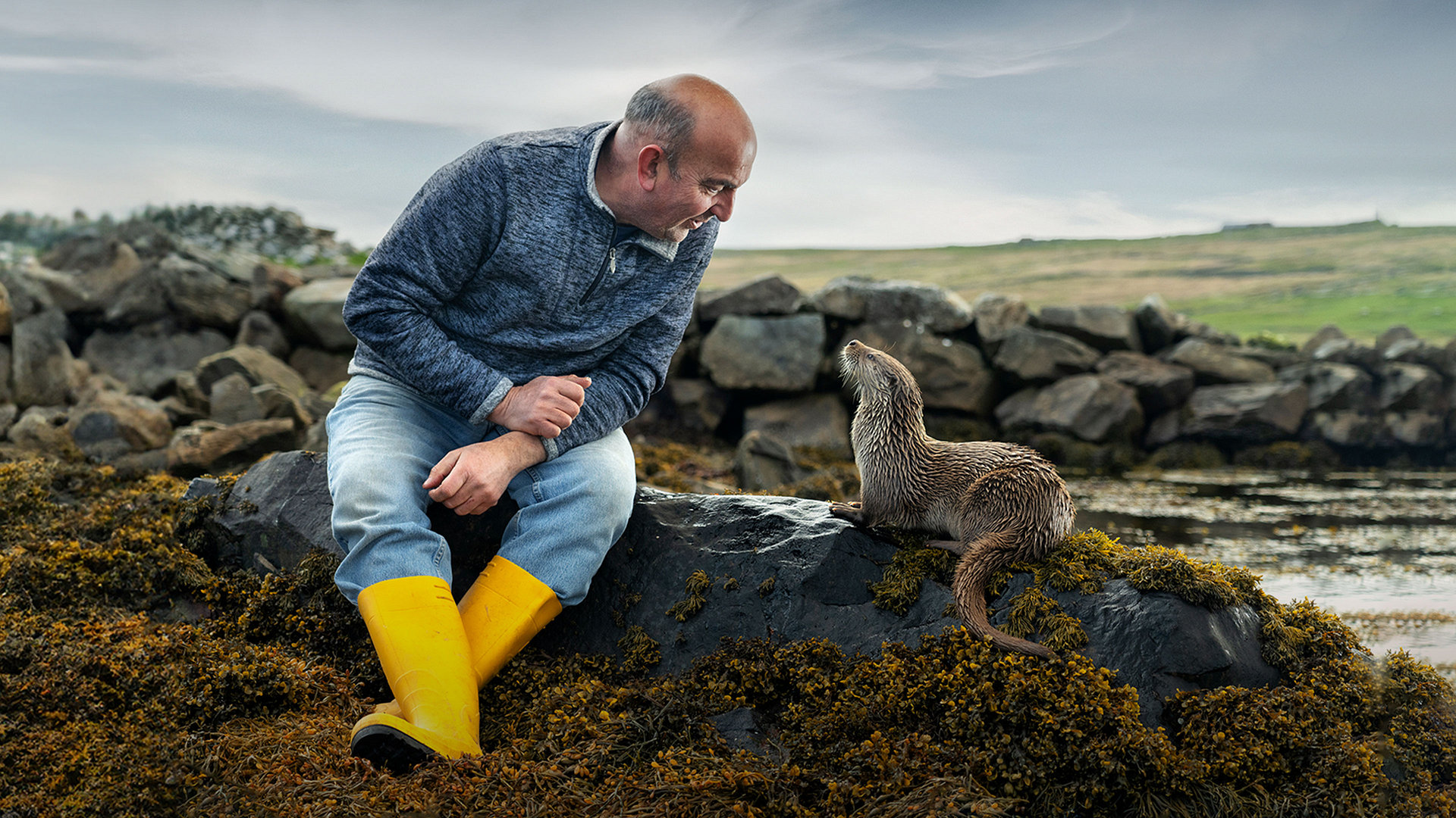 Billy and Molly: An Otter Love Story