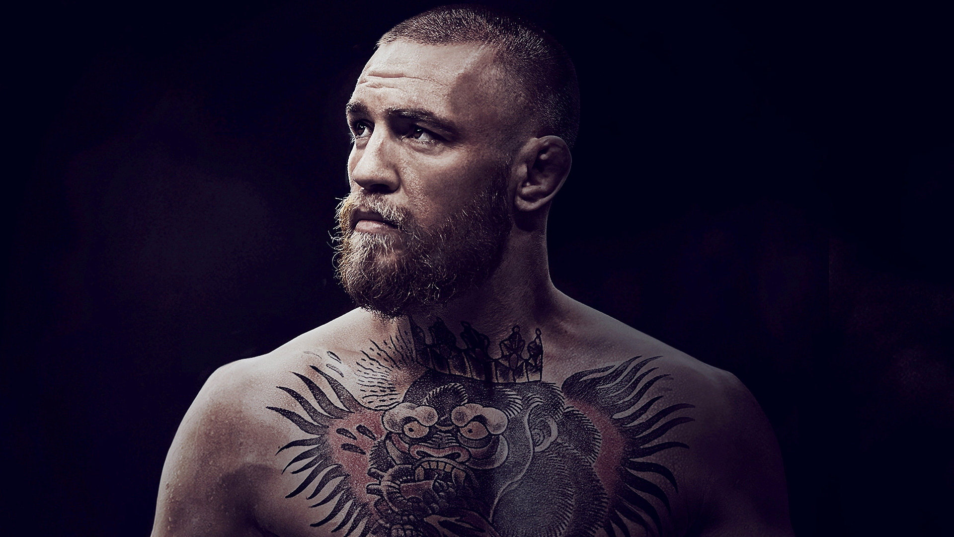 Conor McGregor: Notorious