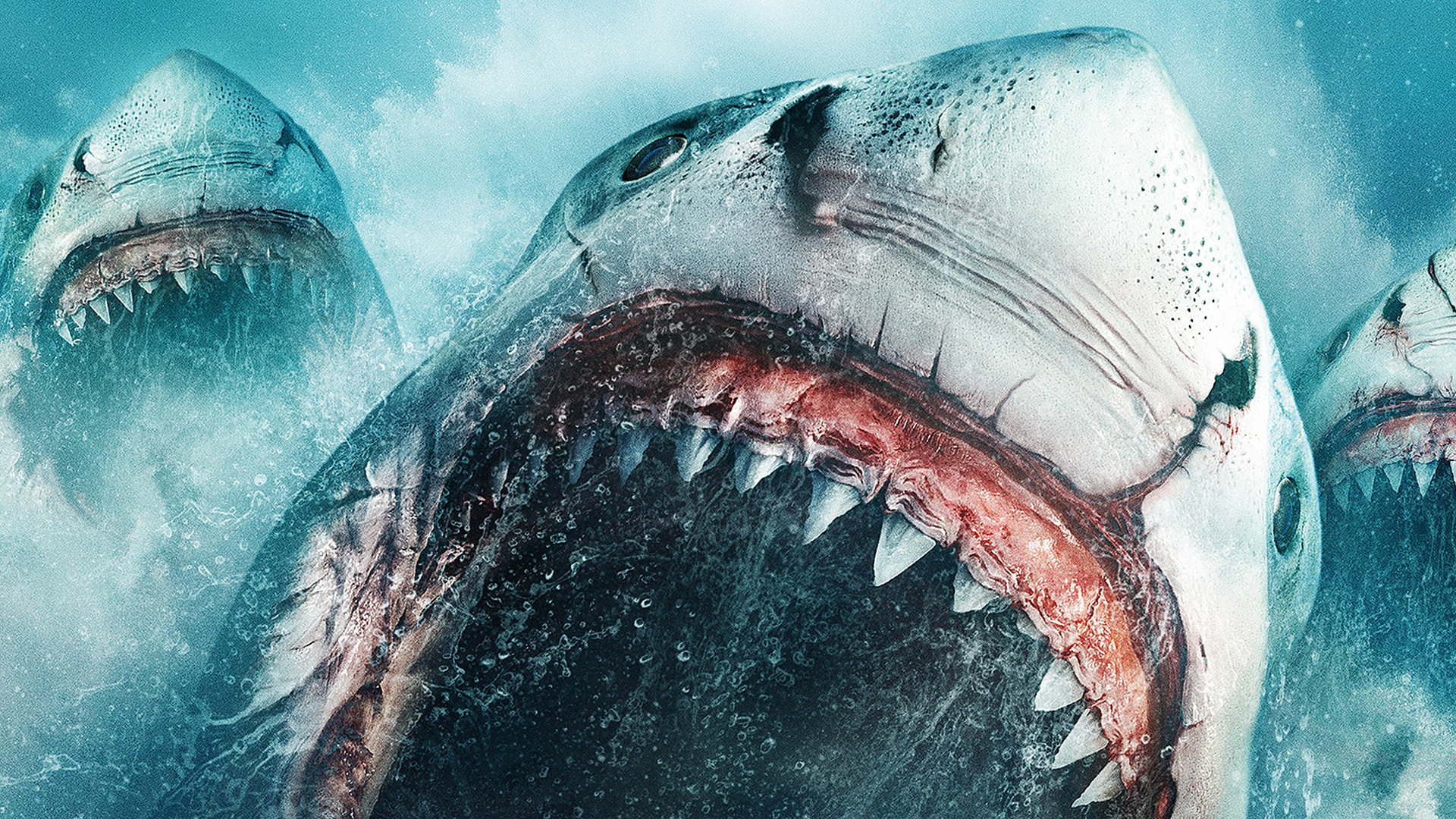 Megalodon: The Frenzy