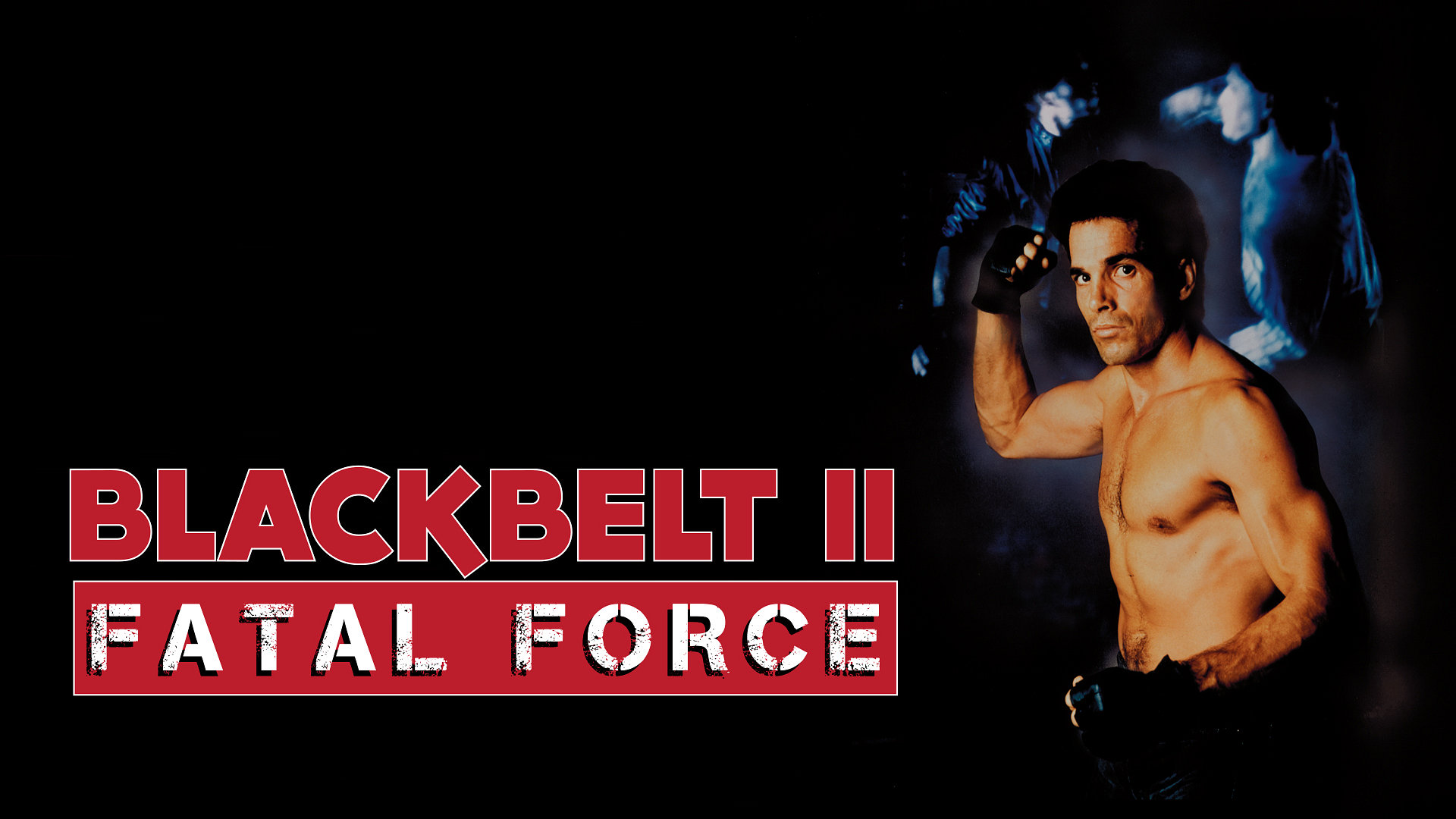 Blackbelt II: Fatal Force