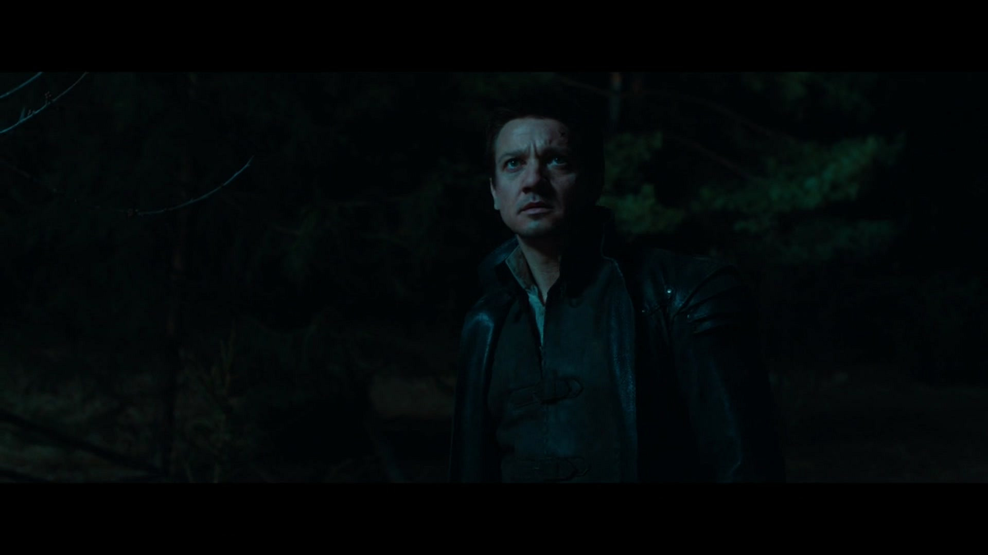 Hansel and Gretel Witch Hunters