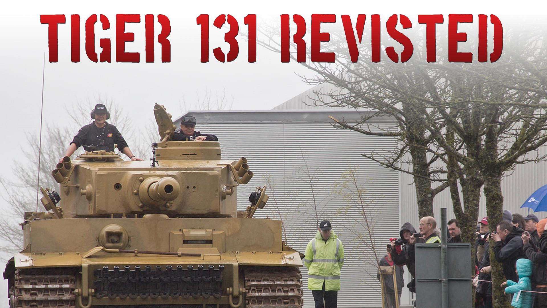 Tiger 131 Revisited